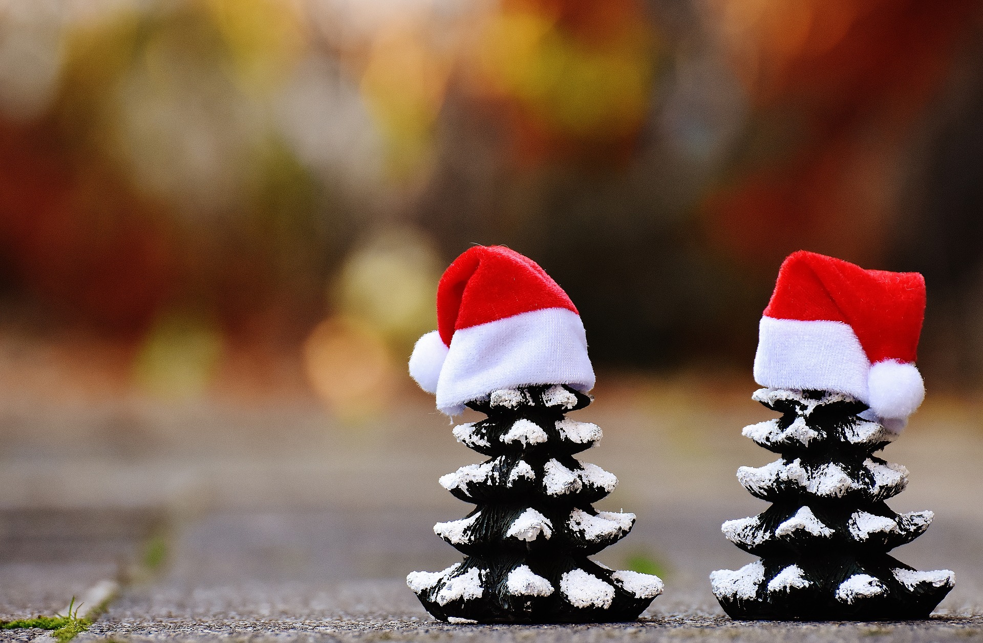 Merry Christmas!